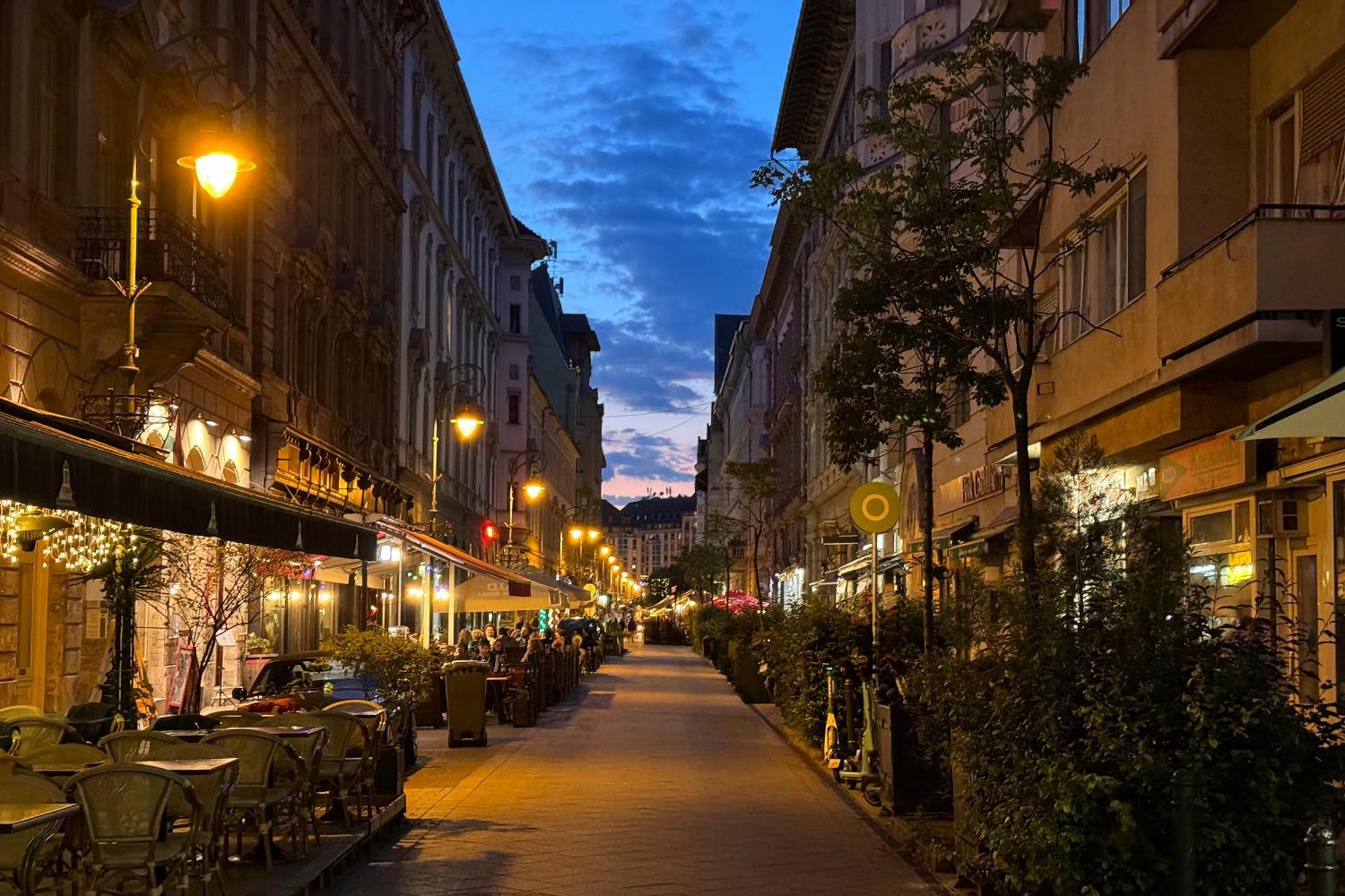 Jungle Aesthetics Downtown Apartman Aircon And Garage Parking Budapest Exterior photo