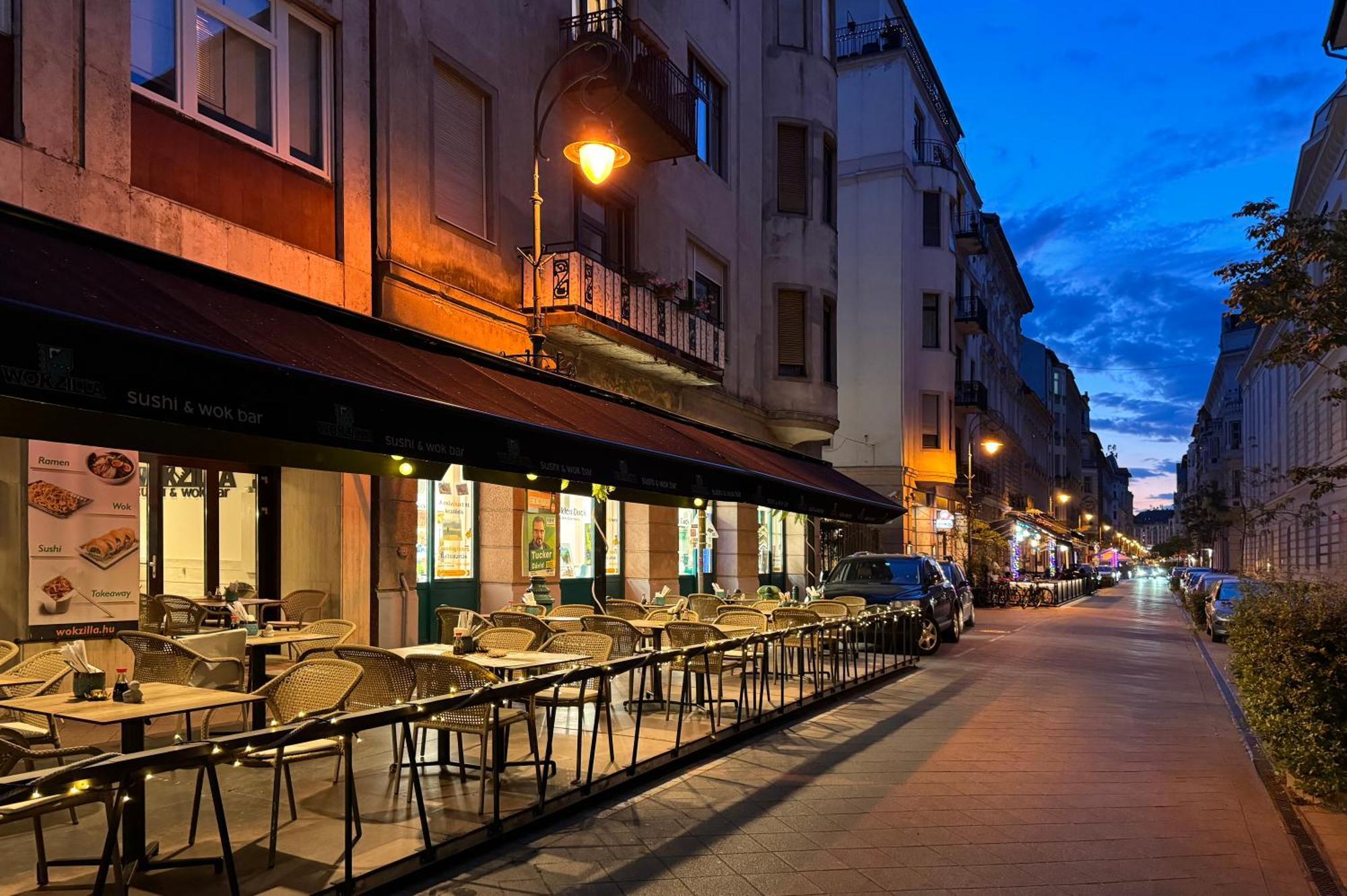 Jungle Aesthetics Downtown Apartman Aircon And Garage Parking Budapest Exterior photo